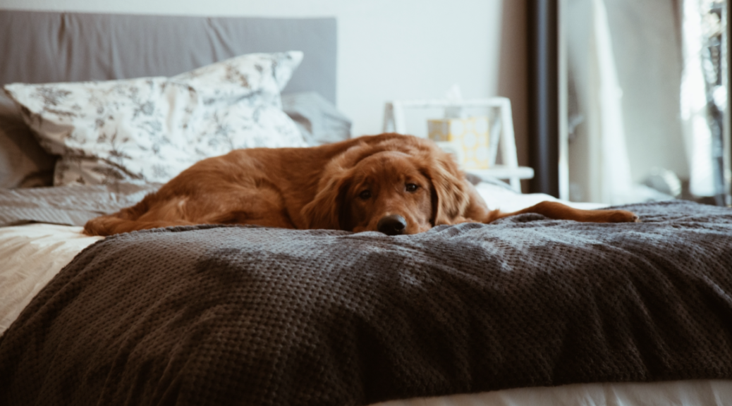 beds for sale